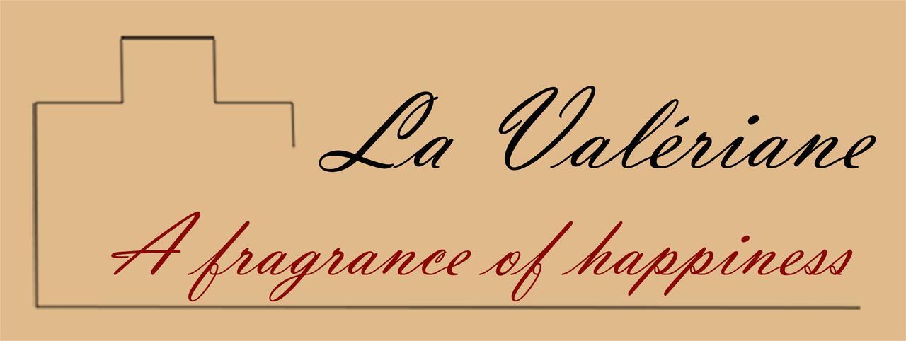 "La Valeriane" Apartamento Grasse Exterior foto